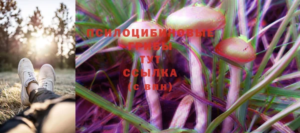 молекула духа Белокуриха
