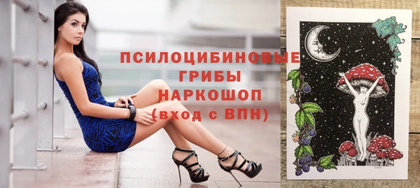 молекула духа Белокуриха
