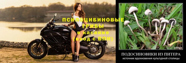 молекула духа Белокуриха