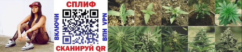 как найти наркотики  Наволоки  Каннабис Bruce Banner 